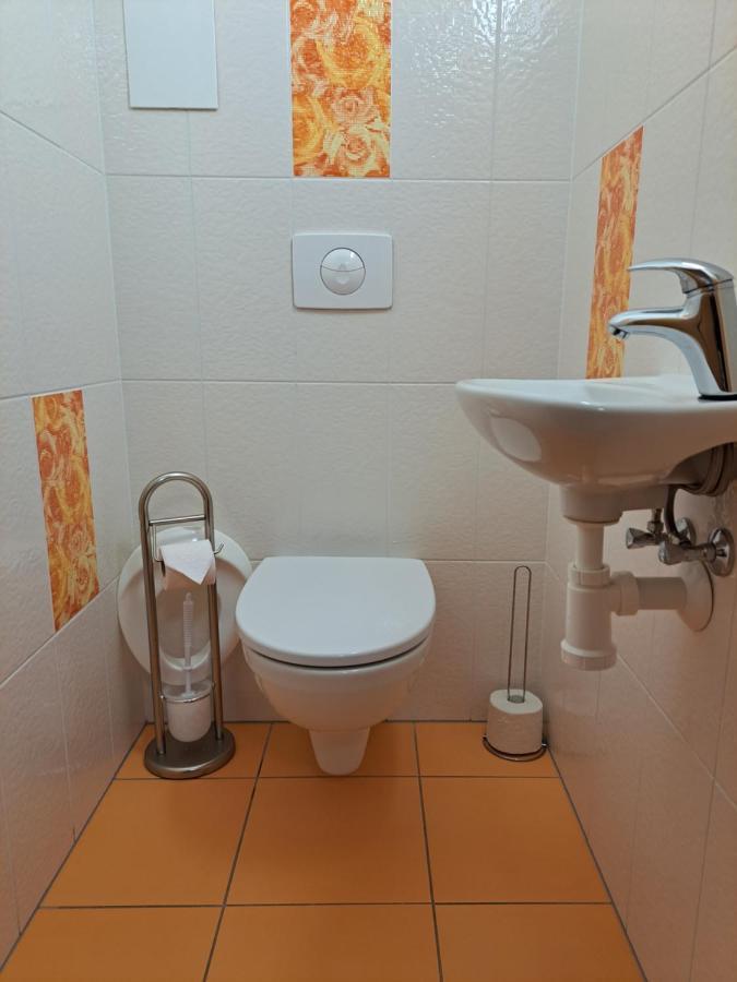 Apartman Max Lipno Липно над Вълтава Екстериор снимка