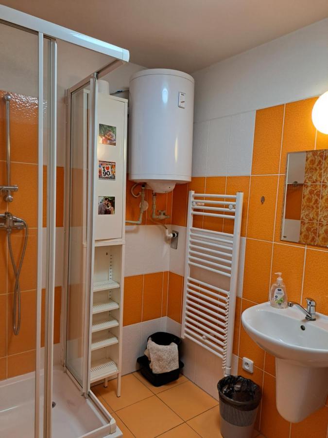 Apartman Max Lipno Липно над Вълтава Екстериор снимка